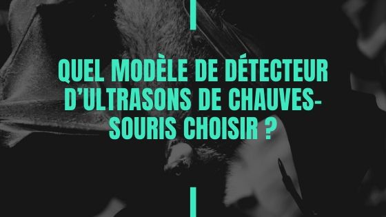 Quel modèle de détecteur d’ultrasons de chauves-souris choisir ?