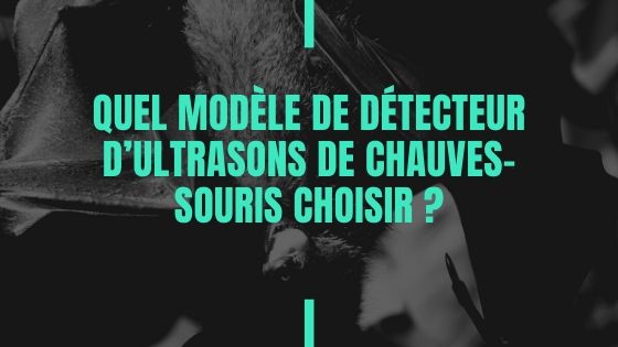 Quel modèle de détecteur d’ultrasons de chauves-souris choisir